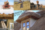 Продам камыш. Камышовые плиты (маты). Камышовая рогожка. Камыш в снопа