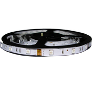 СВЕТОДИОДНАЯ ЛЕНТА SMD 5050-30 ЭКОНОМ